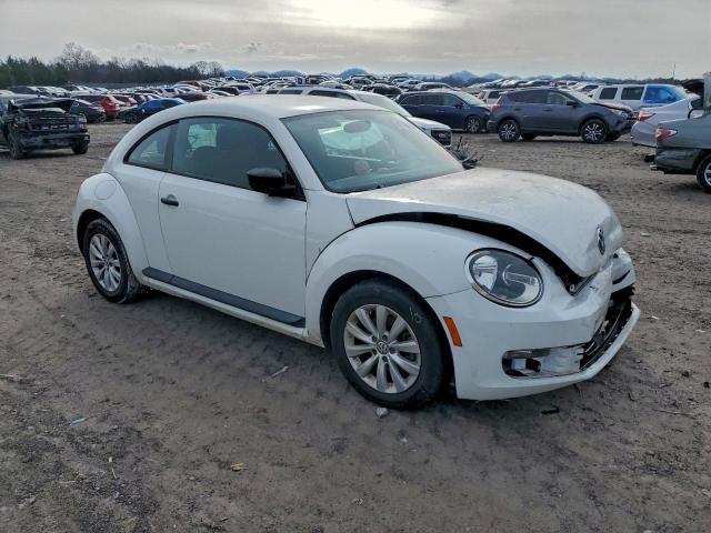 Volkswagen Beetle Image 4