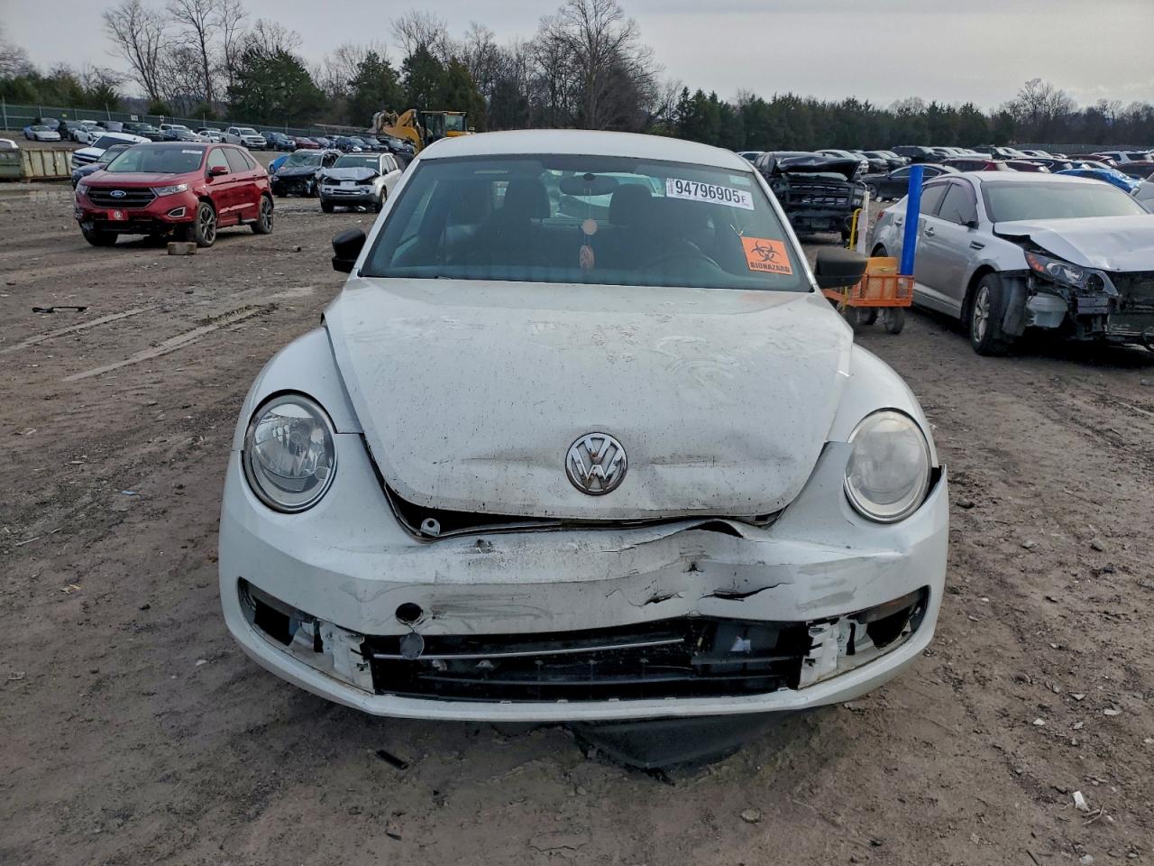 Volkswagen Beetle Image 9