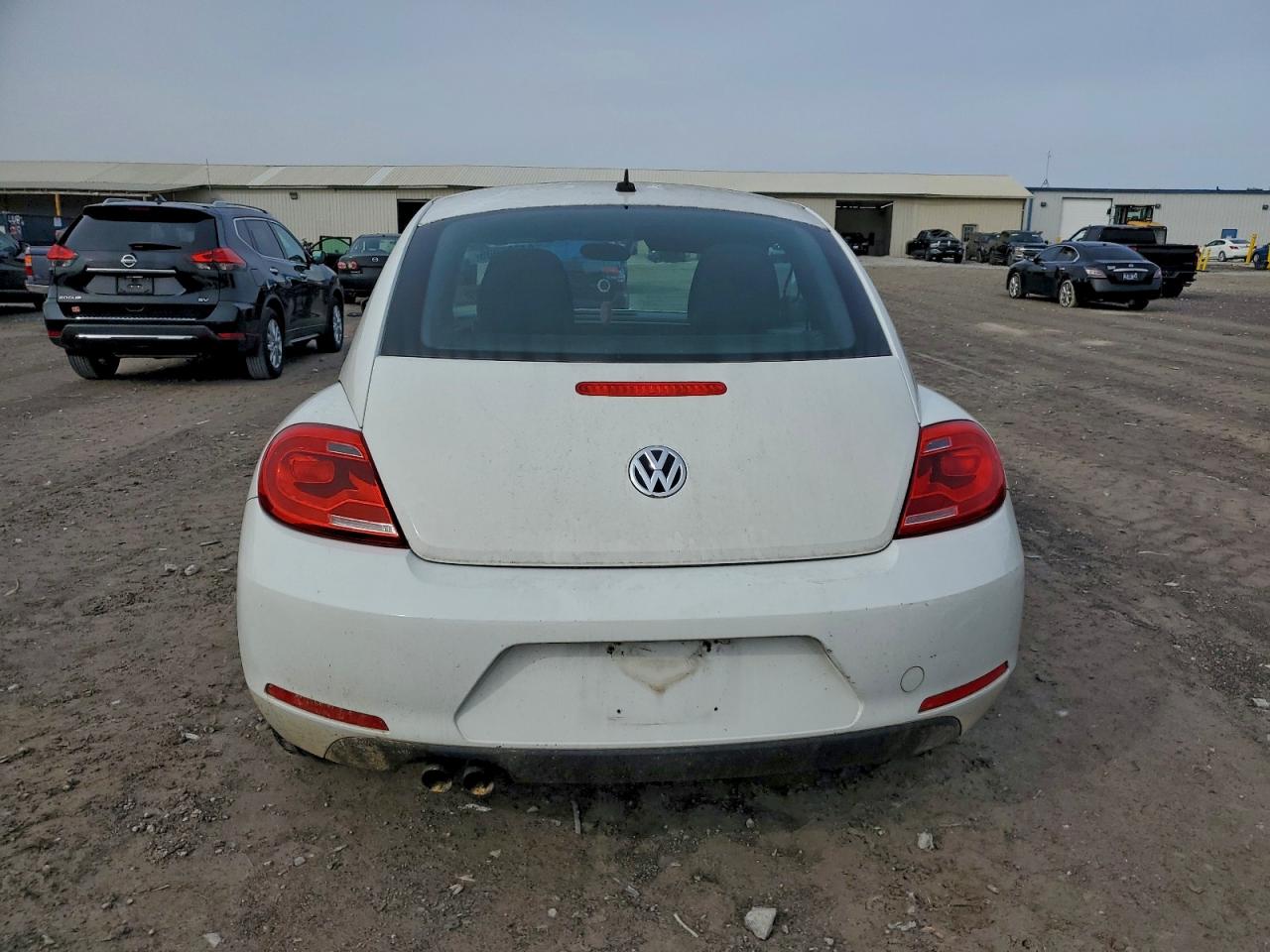 Volkswagen Beetle Image 3