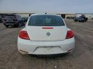 Volkswagen Beetle Image 3