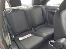 Volkswagen Beetle Image 7