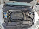 Volkswagen Beetle Image 6