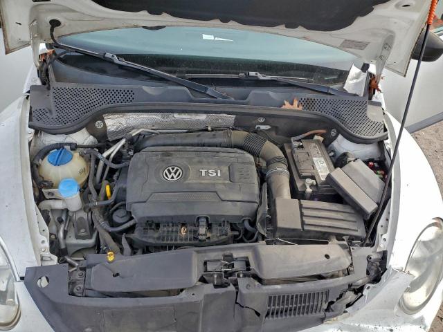 Volkswagen Beetle Image 6