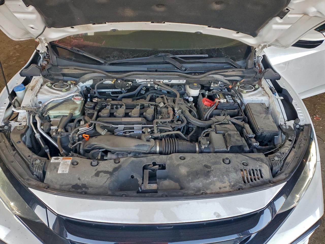 Honda Civic Exl Image 8