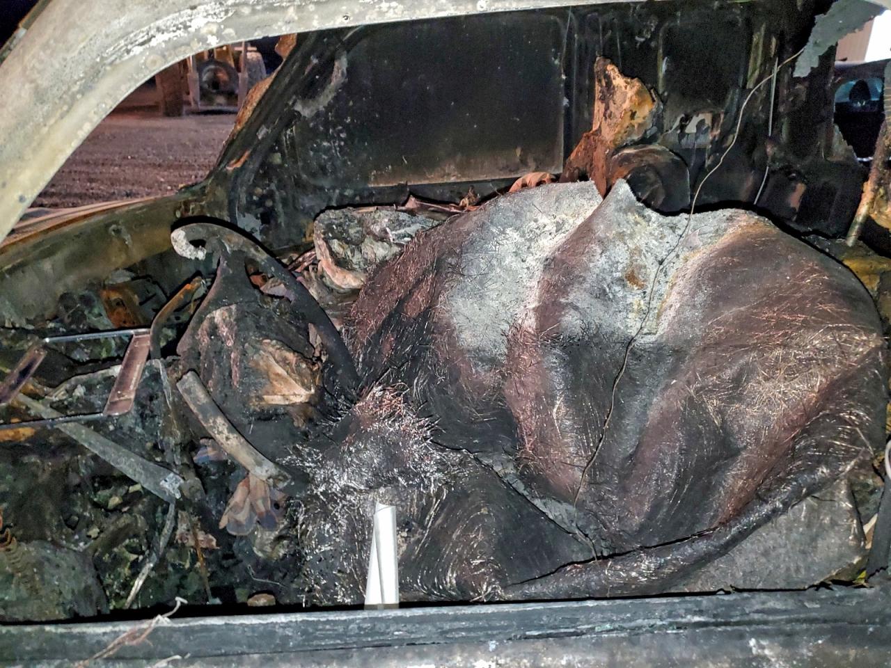 Ford Ranger Super Cab Image 4