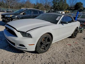  Salvage Ford Mustang
