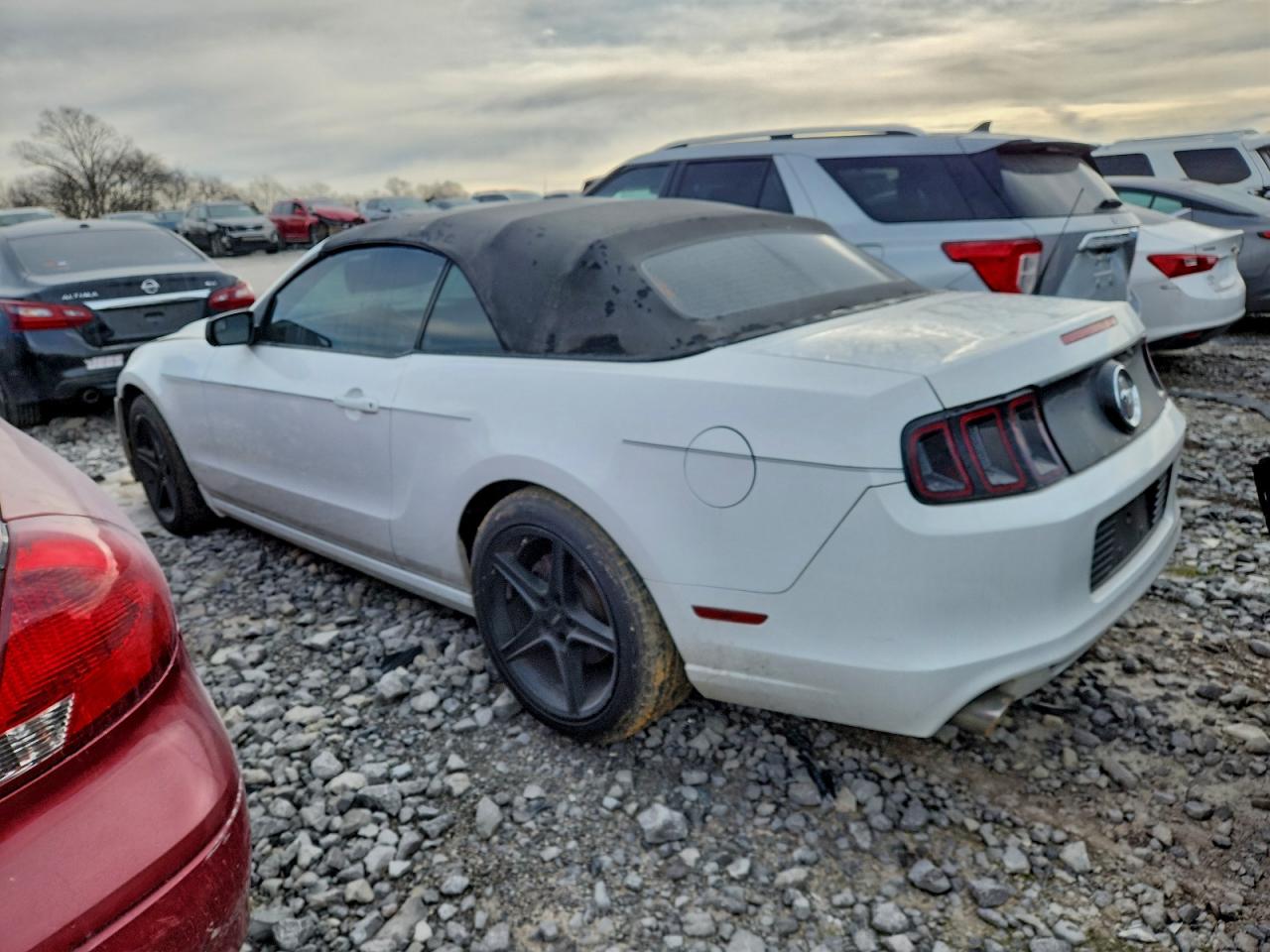 Ford Mustang Image 4