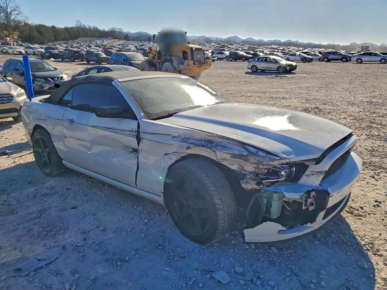 Ford Mustang Image 3