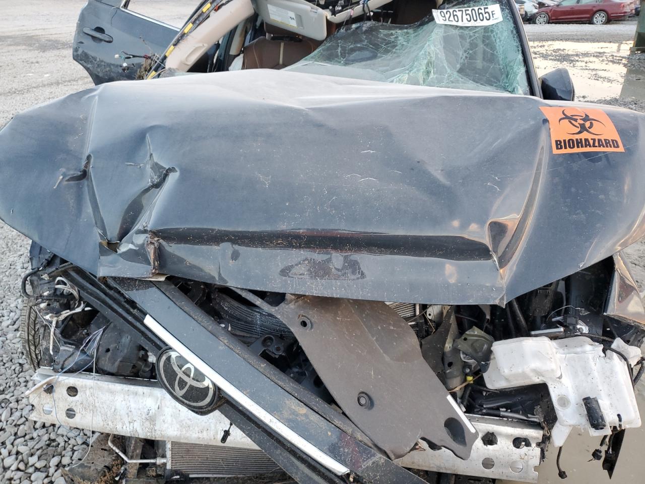 Toyota Grand High Le Image 5