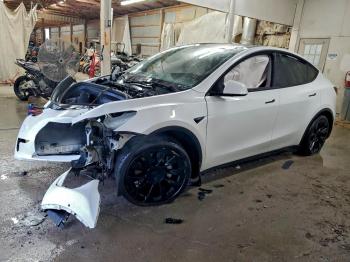  Salvage Tesla Model Y