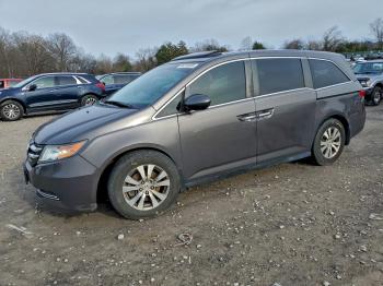  Salvage Honda Odyssey