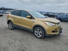 Ford Escape Se Image 6