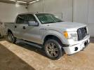 Ford F-150 Supercrew Image 3