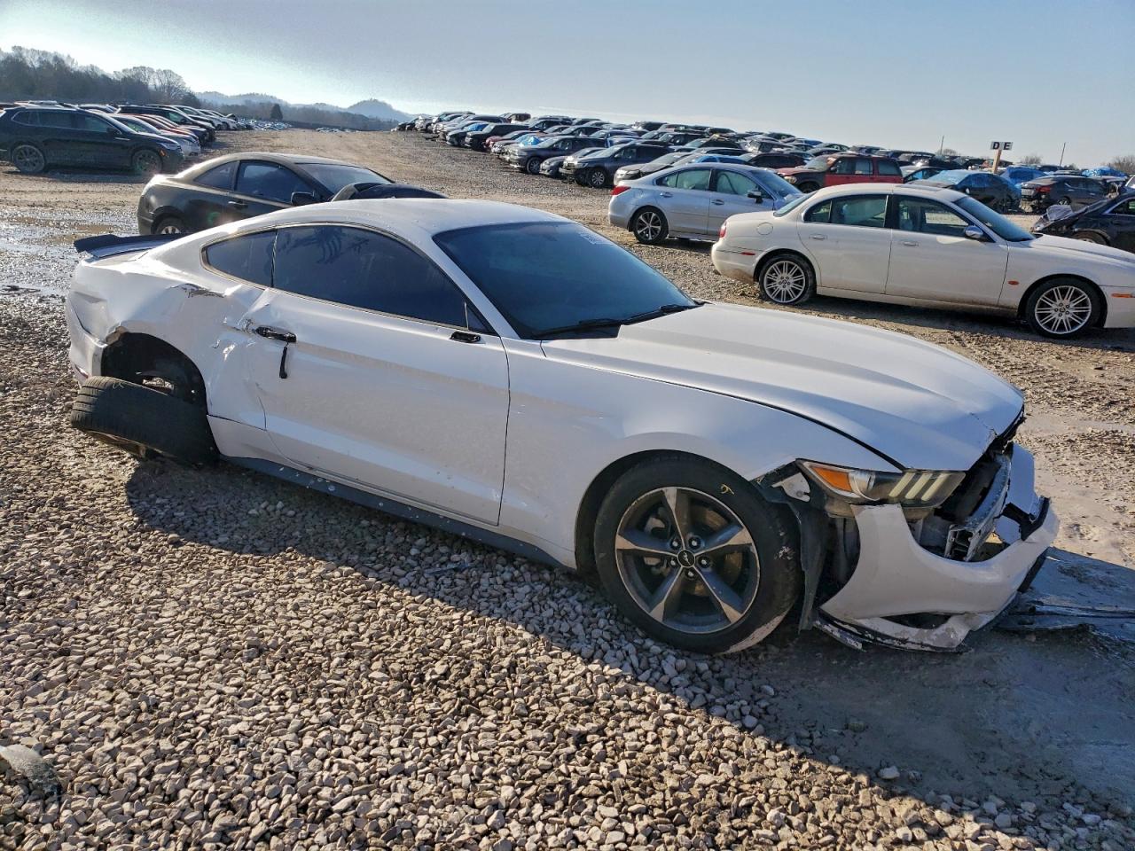 Ford Mustang Image 3