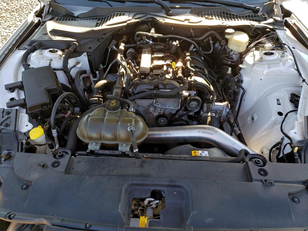 Ford Mustang Image 2