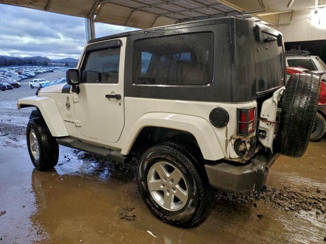 Jeep Wrangler Sahara Image 3