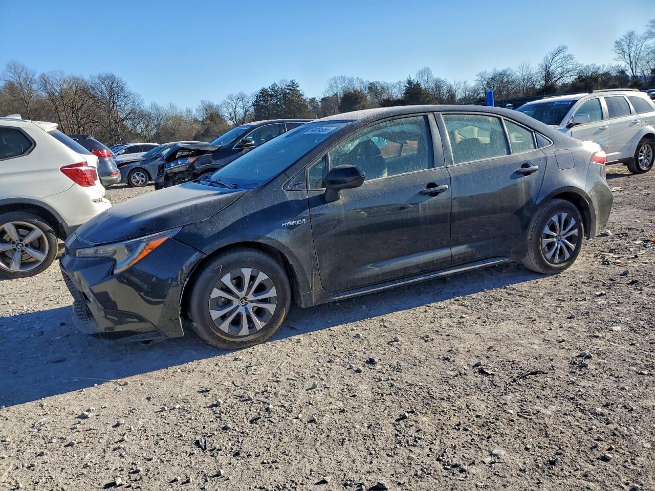 Toyota Corolla Le Image 1