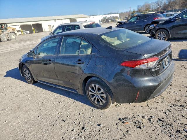 Toyota Corolla Le Image 11