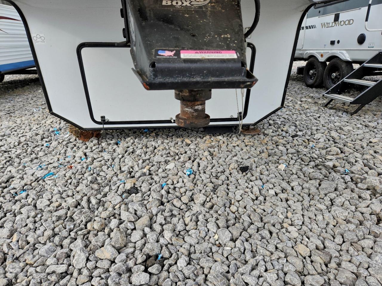 Wildwood Cardinal Image 6