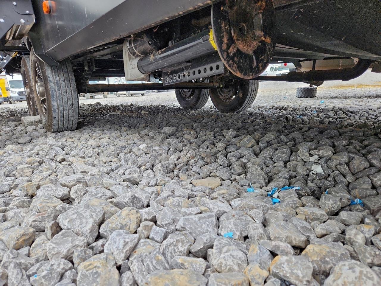 Wildwood Cardinal Image 10