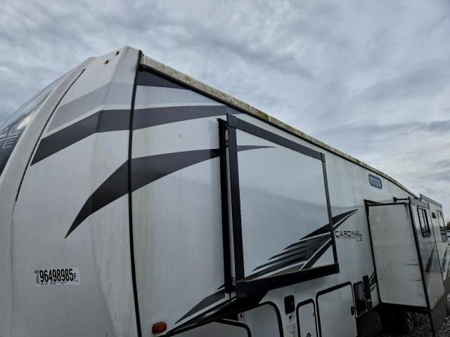 Wildwood Cardinal Image 7