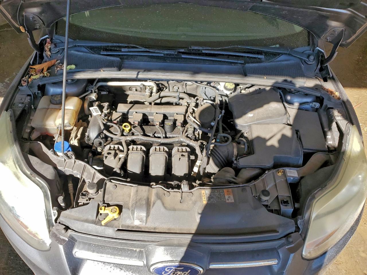 Ford Focus Se Image 7