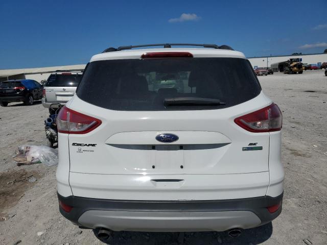 Ford Escape Se Image 7