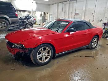  Salvage Ford Mustang