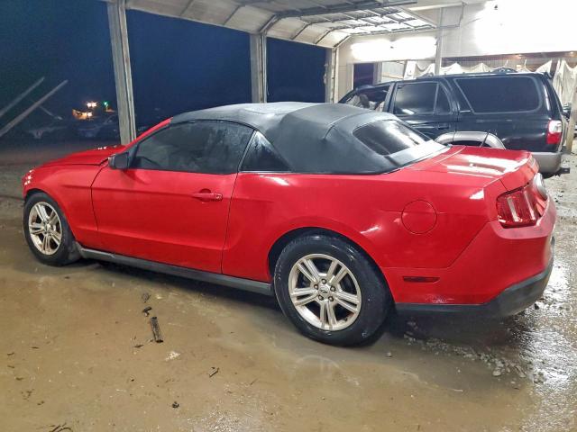 Ford Mustang Image 6