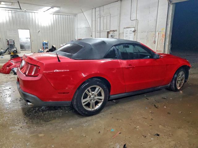 Ford Mustang Image 3