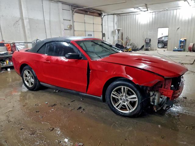 Ford Mustang Image 2