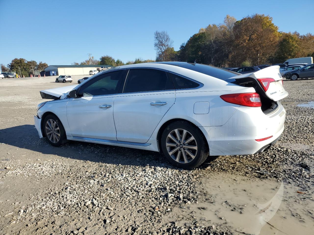 Hyundai SONATA Sport Image 5