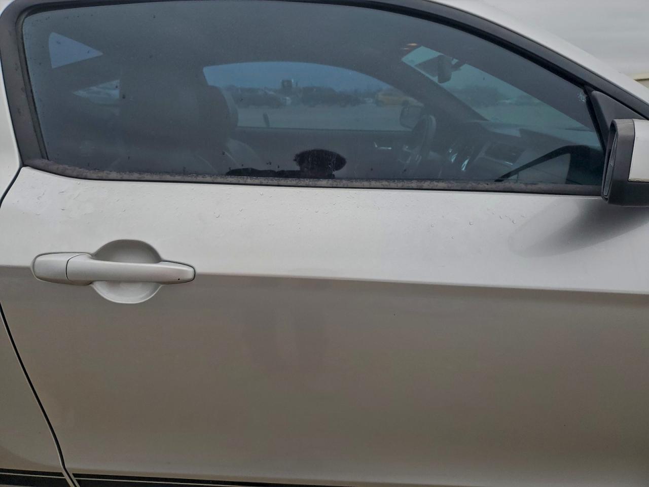 Ford Mustang Image 5