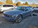Ford Mustang Image 1