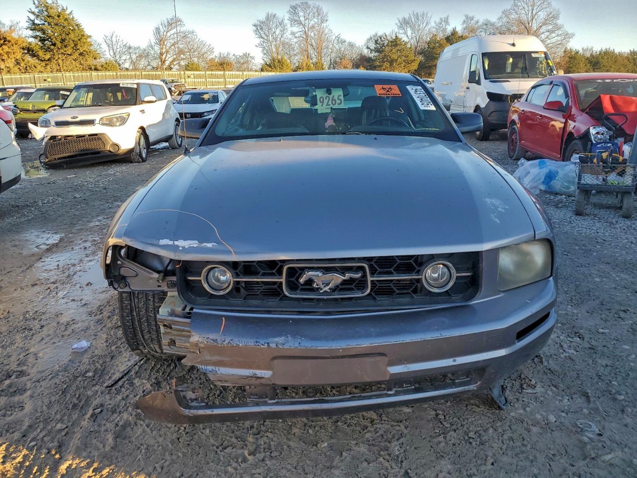 Ford Mustang Image 11