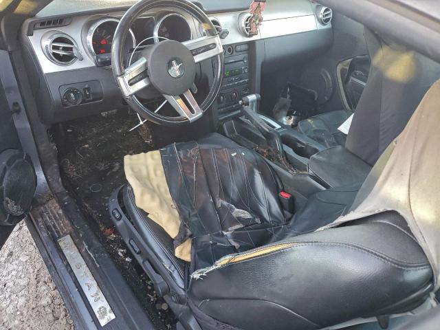 Ford Mustang Image 3