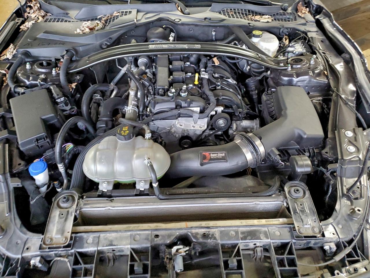 Ford Mustang Image 9