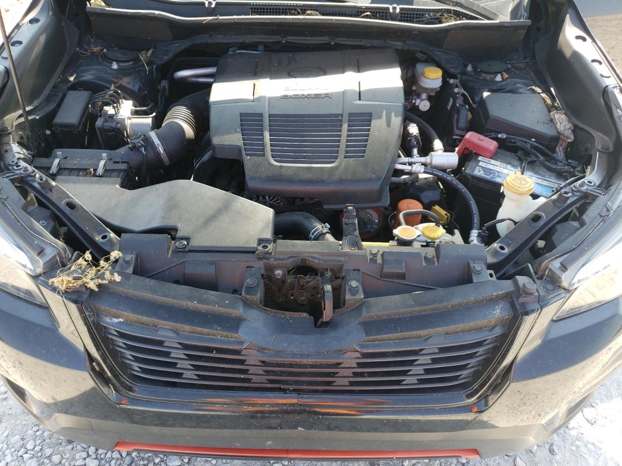 Subaru Forester Sport Image 7