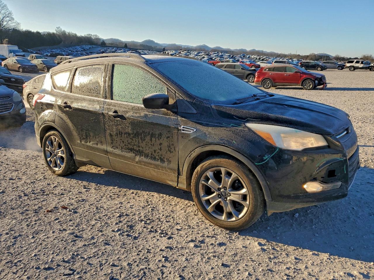 Ford Escape Se Image 10