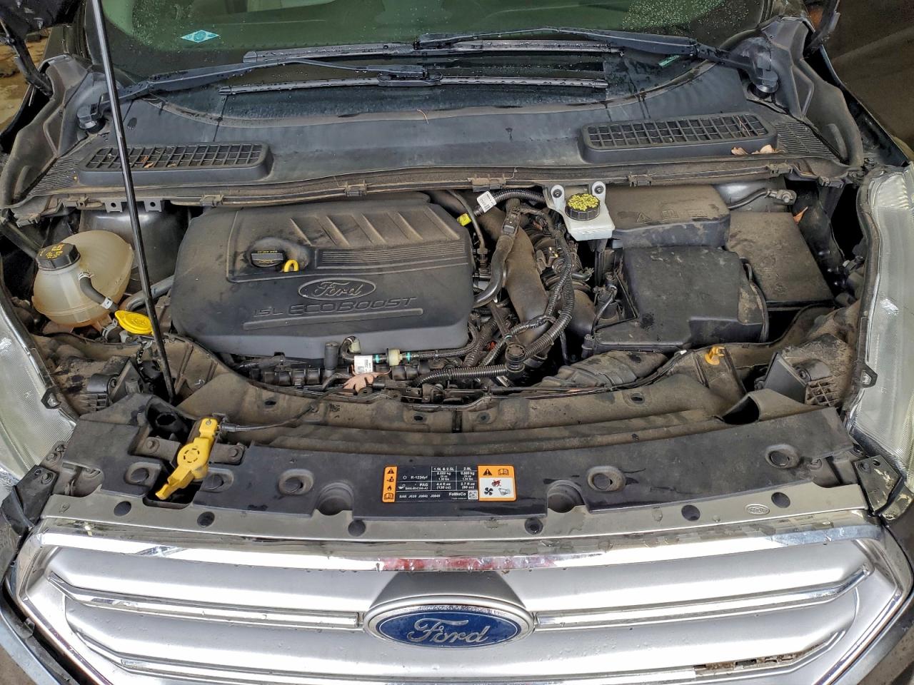 Ford Escape Titanium Image 9