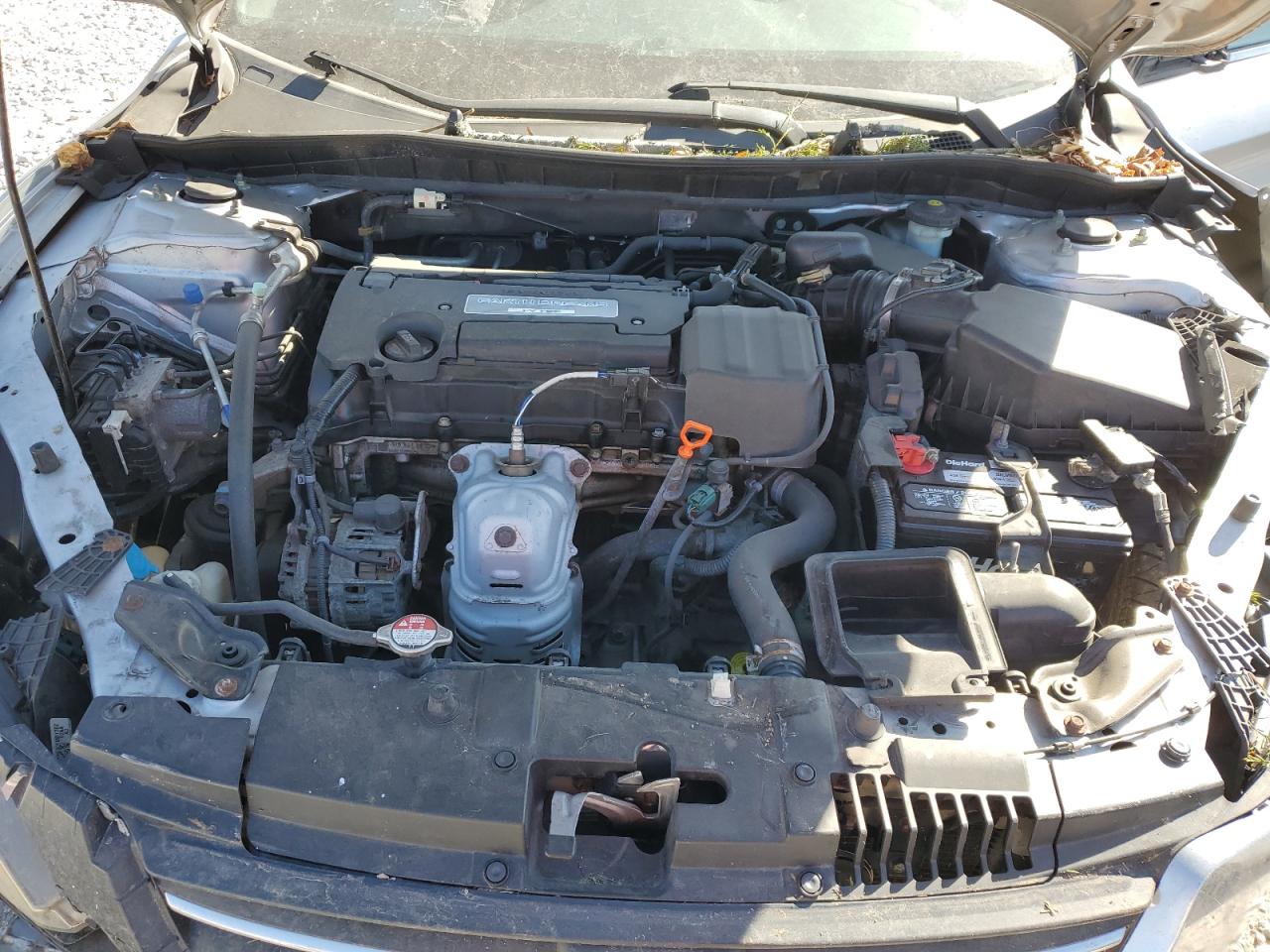 Honda Accord Lx Image 11