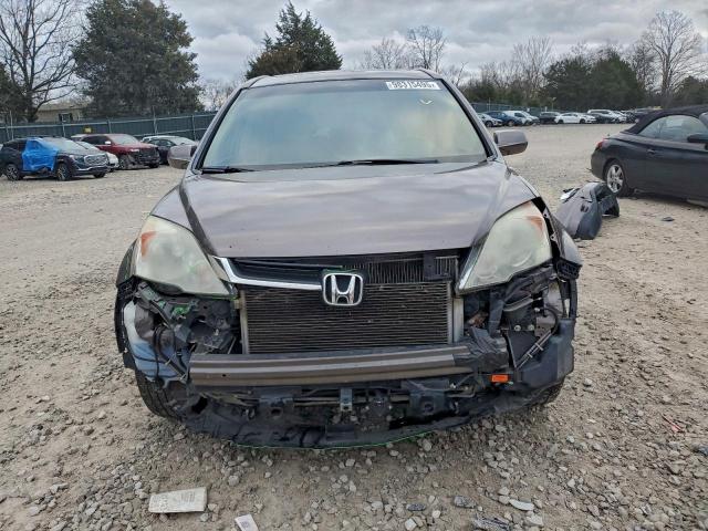 Honda Crv Exl Image 4