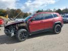Jeep Cherokee Trailhawk Image 1