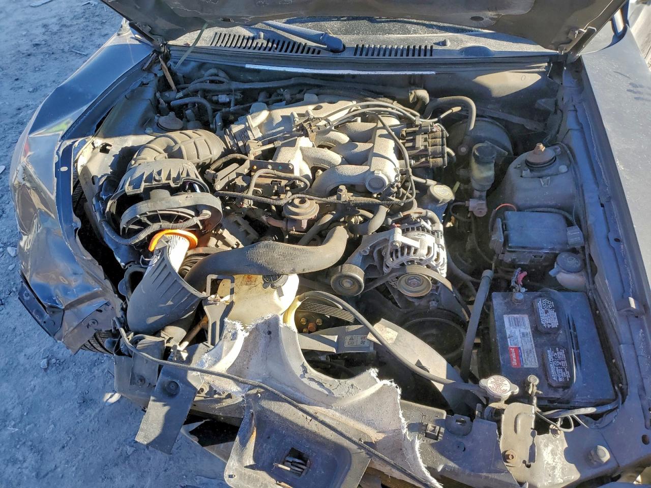 Ford Mustang Image 11