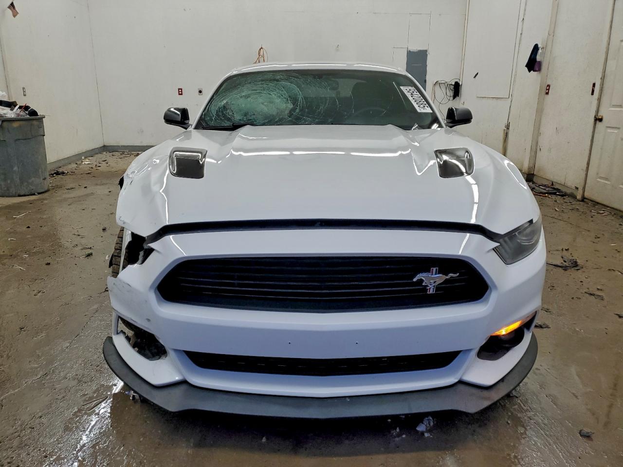 Ford Mustang Gt Image 6