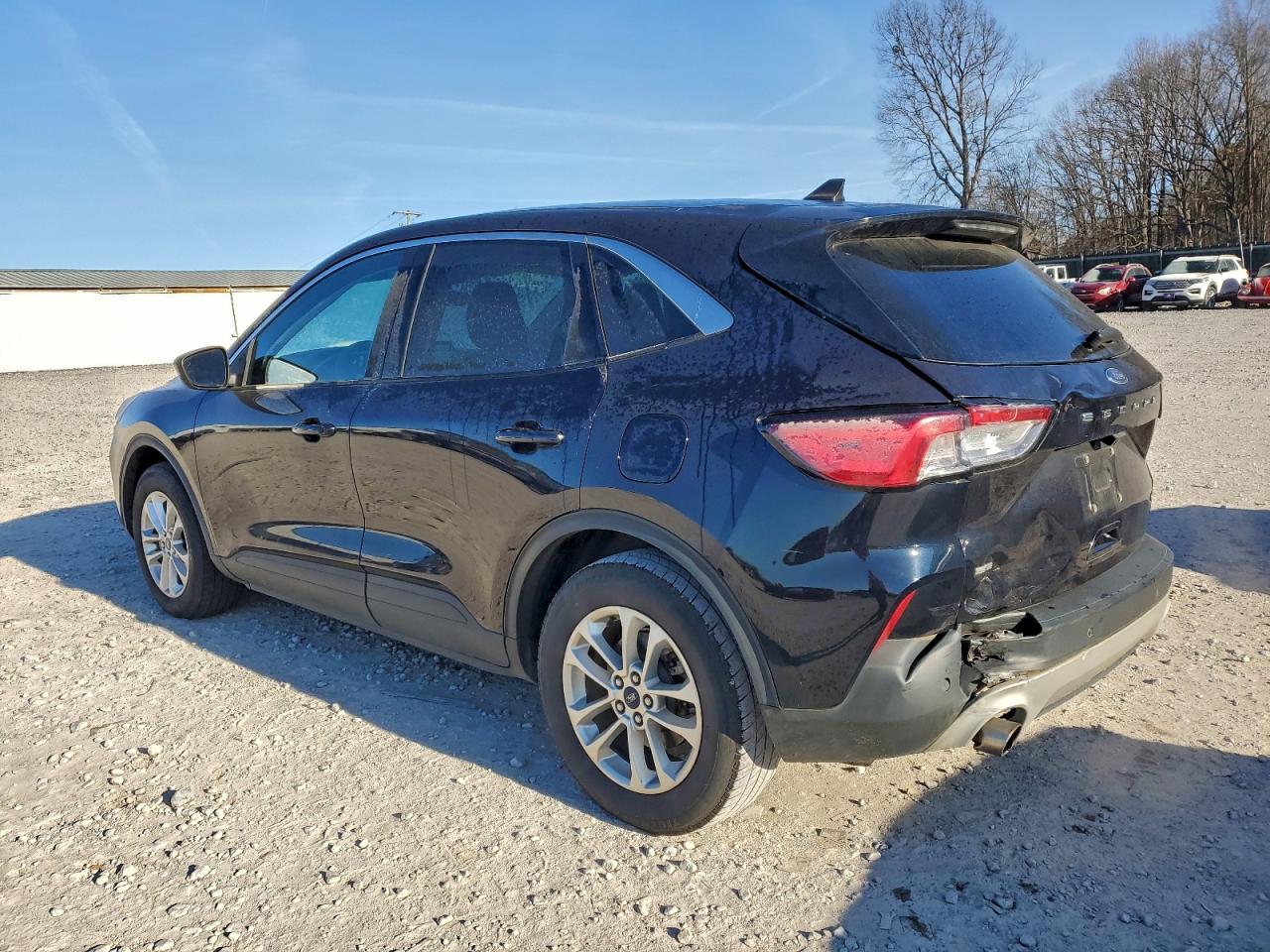 Ford Escape Se Image 7