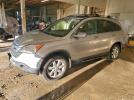 Honda Crv Exl Image 1