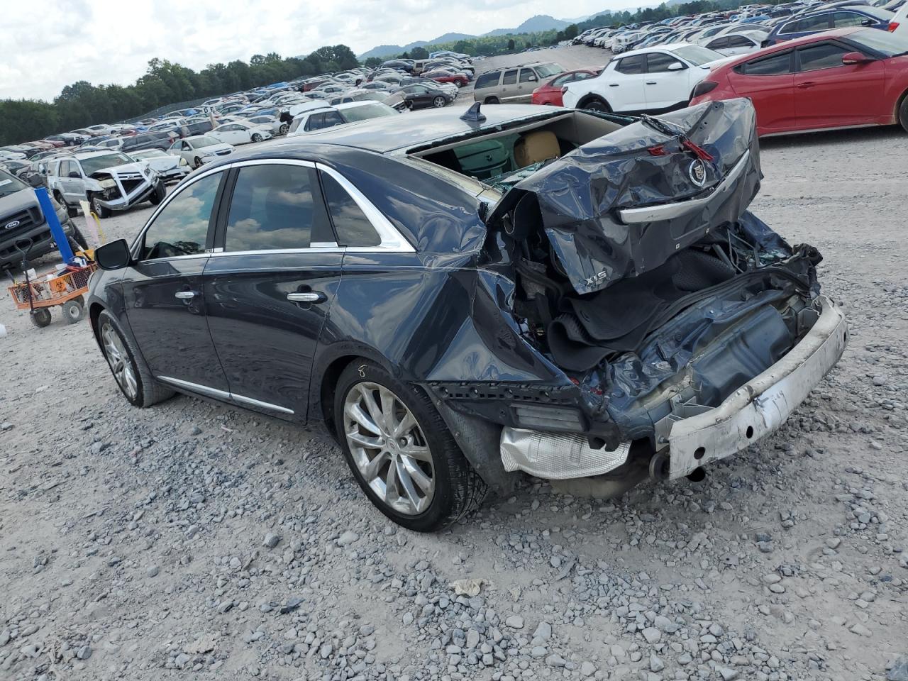 Cadillac XTS Luxury Collection Image 5