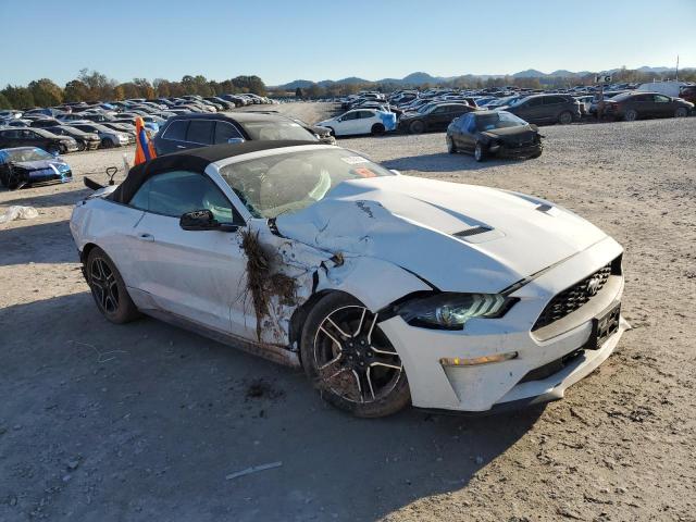 Ford Mustang Image 2