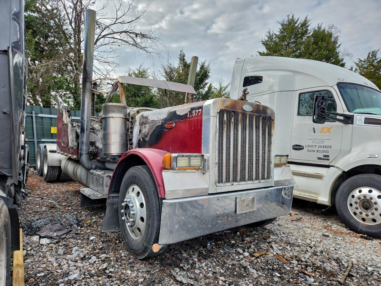 Peterbilt 379 Image 1